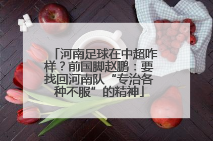 河南足球在中超咋样？前国脚赵鹏：要找回河南队“专治各种不服”的精神