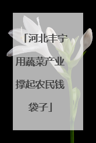 河北丰宁用蔬菜产业撑起农民钱袋子