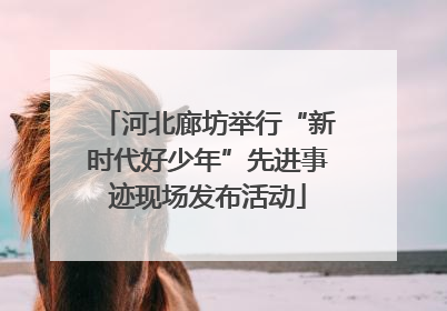 河北廊坊举行“新时代好少年”先进事迹现场发布活动