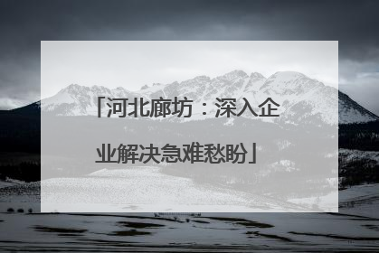 河北廊坊：深入企业解决急难愁盼