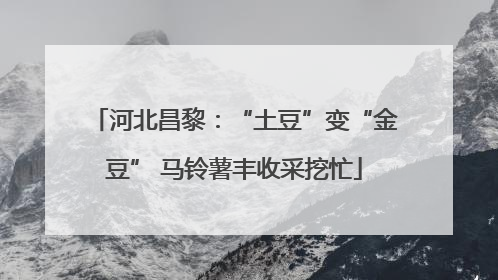 河北昌黎：“土豆”变“金豆” 马铃薯丰收采挖忙