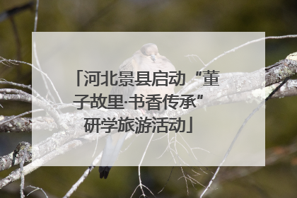 河北景县启动“董子故里·书香传承”研学旅游活动