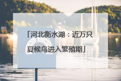 河北衡水湖：近万只夏候鸟进入繁殖期