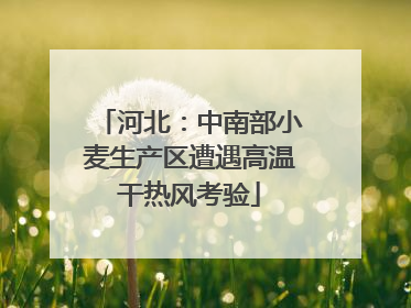 河北：中南部小麦生产区遭遇高温干热风考验