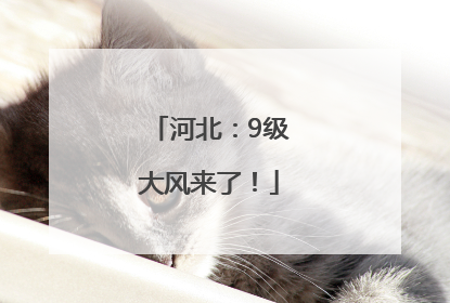 河北：9级大风来了！