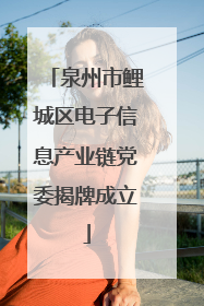 泉州市鲤城区电子信息产业链党委揭牌成立