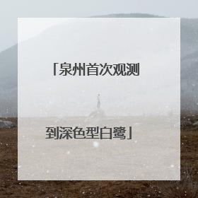 泉州首次观测到深色型白鹭