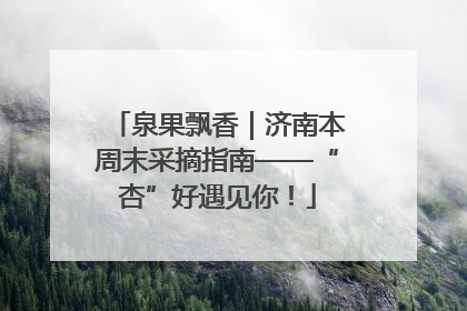 泉果飘香｜济南本周末采摘指南——“杏”好遇见你！