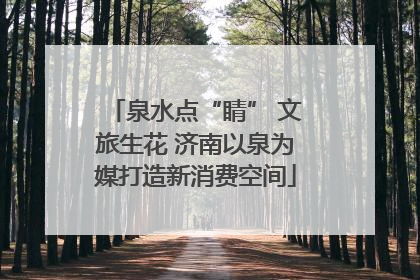 泉水点“睛” 文旅生花 济南以泉为媒打造新消费空间
