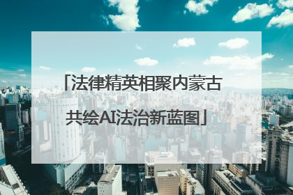 法律精英相聚内蒙古 共绘AI法治新蓝图