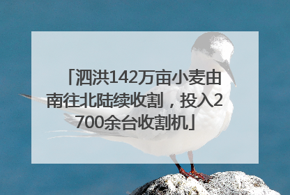 泗洪142万亩小麦由南往北陆续收割，投入2700余台收割机