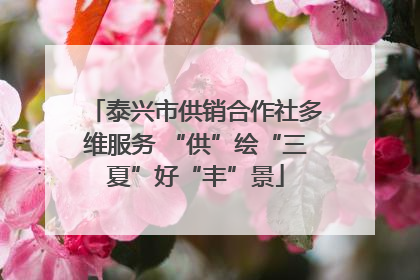 泰兴市供销合作社多维服务 “供”绘“三夏”好“丰”景