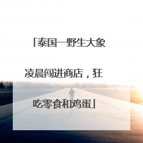 泰国一野生大象凌晨闯进商店，狂吃零食和鸡蛋