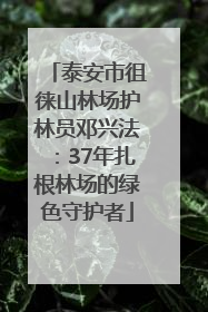 泰安市徂徕山林场护林员邓兴法：37年扎根林场的绿色守护者