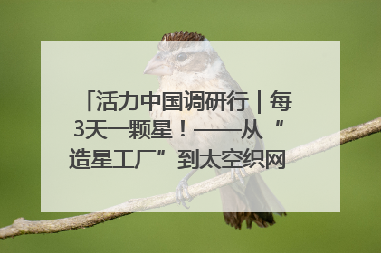 活力中国调研行｜每3天一颗星！——从“造星工厂”到太空织网的“银河速度”