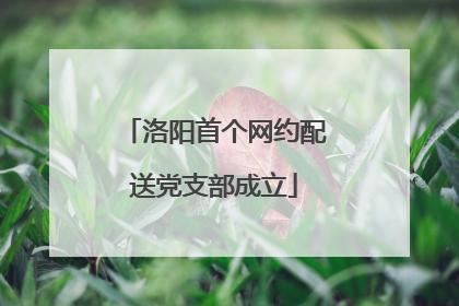 洛阳首个网约配送党支部成立