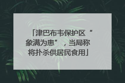 津巴布韦保护区“象满为患”，当局称将扑杀供居民食用