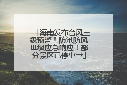 海南发布台风三级预警！防汛防风Ⅲ级应急响应！部分景区已停业→