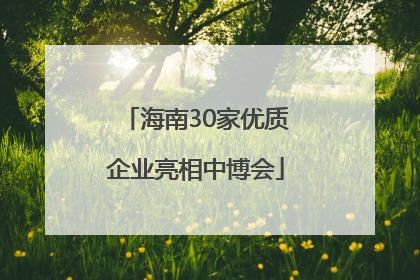 海南30家优质企业亮相中博会