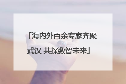海内外百余专家齐聚武汉 共探数智未来