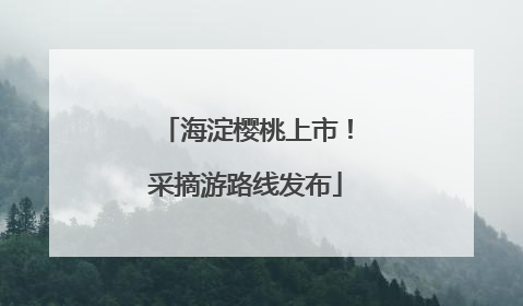 海淀樱桃上市！采摘游路线发布