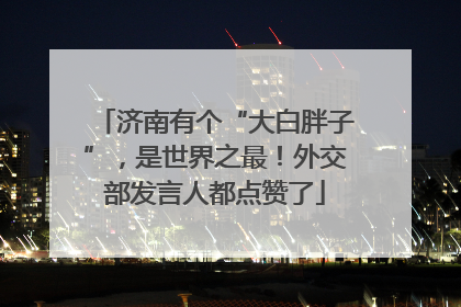 济南有个“大白胖子”，是世界之最！外交部发言人都点赞了