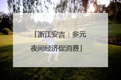 浙江安吉：多元夜间经济促消费