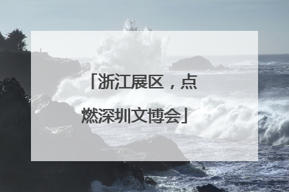 浙江展区，点燃深圳文博会