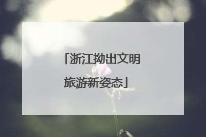 浙江拗出文明旅游新姿态