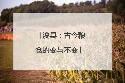 浚县：古今粮仓的变与不变