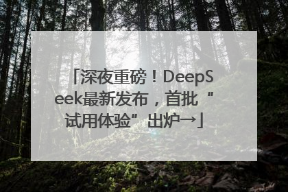 深夜重磅！DeepSeek最新发布，首批“试用体验”出炉→