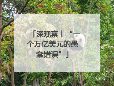 深观察丨“一个万亿美元的愚蠢错误”