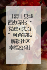 清丰县城西办深化“党建+共治”融合实践 解锁社区幸福密码