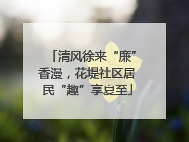 清风徐来“廉”香漫，花堤社区居民“趣”享夏至