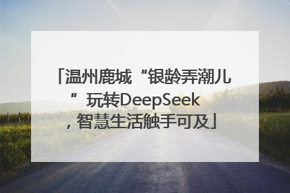温州鹿城“银龄弄潮儿”玩转DeepSeek，智慧生活触手可及