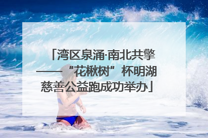 湾区泉涌·南北共擎——“花楸树”杯明湖慈善公益跑成功举办