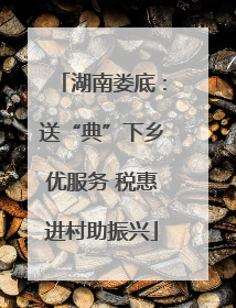 湖南娄底：送“典”下乡优服务 税惠进村助振兴