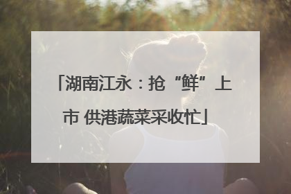 湖南江永：抢“鲜”上市 供港蔬菜采收忙