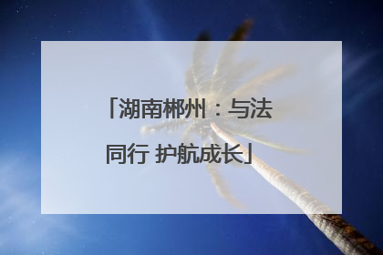 湖南郴州：与法同行 护航成长
