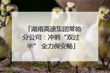 湖南高速集团常德分公司：冲刺“双过半” 全力保安畅