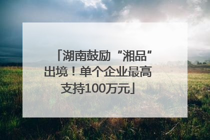 湖南鼓励“湘品”出境！单个企业最高支持100万元