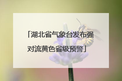 湖北省气象台发布强对流黄色省级预警