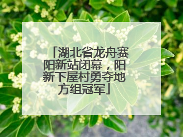 湖北省龙舟赛阳新站闭幕，阳新下屋村勇夺地方组冠军