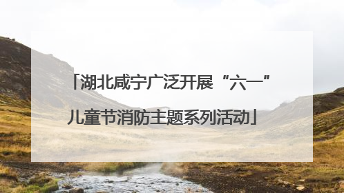 湖北咸宁广泛开展“六一”儿童节消防主题系列活动