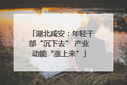 湖北咸安：年轻干部“沉下去” 产业动能“涨上来”