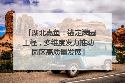 湖北嘉鱼：锚定满园工程，多维度发力推动园区高质量发展