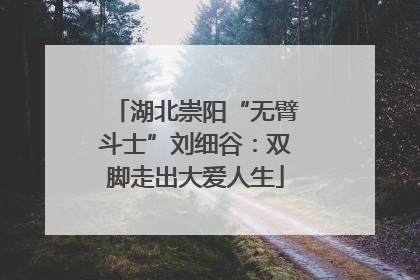 湖北崇阳“无臂斗士”刘细谷：双脚走出大爱人生
