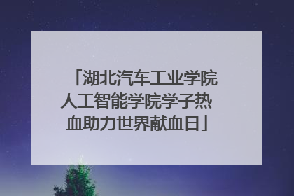 湖北汽车工业学院人工智能学院学子热血助力世界献血日