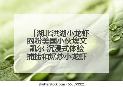 湖北洪湖小龙虾圈粉美国小伙埃文凯尔 沉浸式体验捕捞和爆炒小龙虾 最爱麻辣味