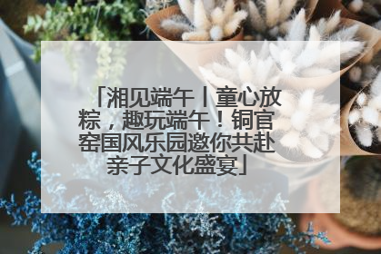湘见端午丨童心放粽，趣玩端午！铜官窑国风乐园邀你共赴亲子文化盛宴